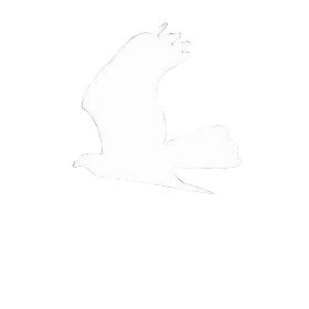 HawkNet